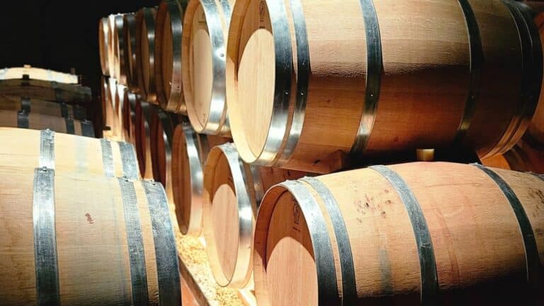 Asamblea 2025 AMEPHU (13)