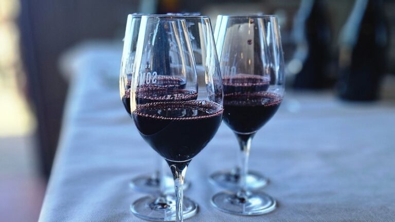 Asamblea 2025 AMEPHU (16)